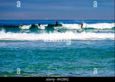 Multiple surfers ride a wave at Sydney's iconic Bondi Beach, NSW, Australia Stock Photo