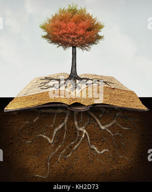 Conceptual image representing a rooted tree above an open book with roots in the underground Stock Photo