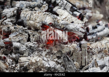 Remains of wood coal and ashes after the combustion of firewood.Burned charcoal and ash from fire.Coal and wood ashes Stock Photo
