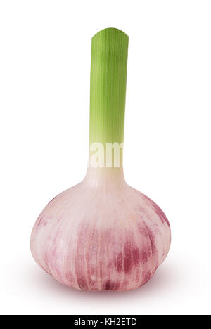 Fresh young garlic isolated on white background. Clipping Path. Stock Photo