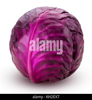 Red cabbage isolated on white background. Clipping Path. Stock Photo