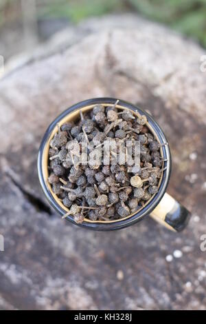 Java tailed pepper on cup over rustic wood log, aereal view Stock Photo