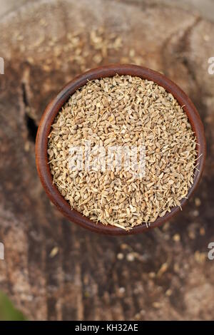 Whole anise seeds in wood bowl over rustic wood trunk background Stock Photo