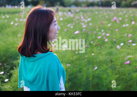 beautiful korean woman in cosmos field Stock Photo