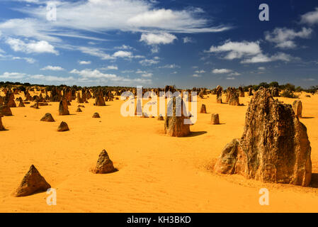The Pinnacles in the Nambung National Park, Western Australia. The Pinnacles are limestone formations contained within Nambung National Park, near the Stock Photo