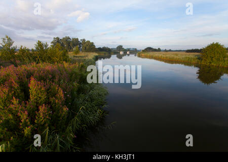 Quiet moorings on Fleet Dyke, connecting the River Bure to South Walham Broad. The Broads National Park, Norfolk Stock Photo