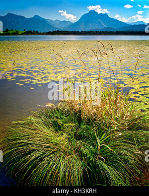 DE - BAVARIA: Lake Hopfensee near Fuessen with Neuschwanstein Castle in far distance Stock Photo