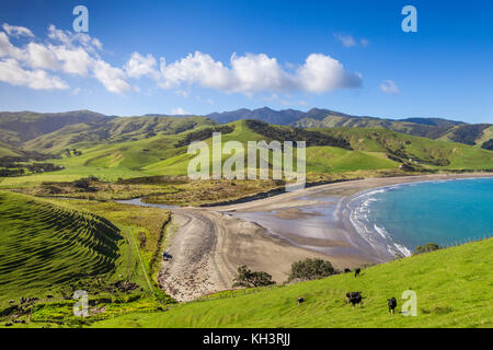 The rolling green hills of the Coromandel Peninsula at Port Jackson, New Zealand. Stock Photo