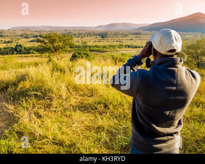 South Africa, ranger looking through binoculars in search of animals during a safari Stock Photo