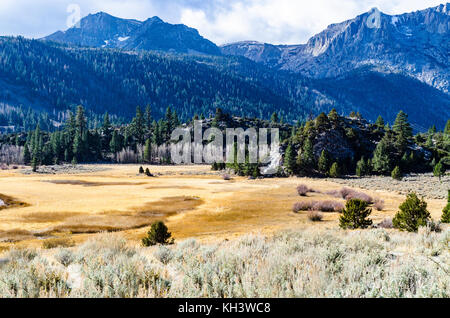 An alpine meadow at Gull Lake in the June Lake  loop in the Eastern Sierra Nevada mountains a stones throw from Yosemite in California Stock Photo