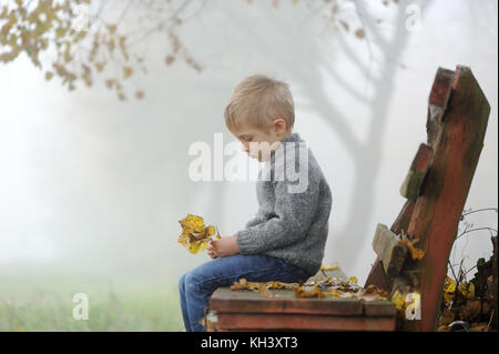 A four years old sad boy sitting on park bench in autumn, foggy day and holding  a few leaves in hands. Side profile Stock Photo