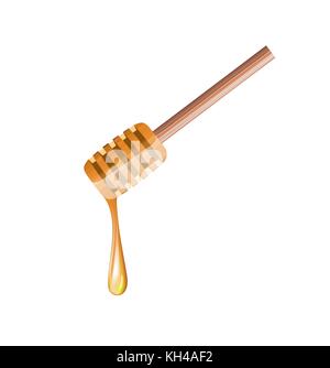 Honey dripping isolated on a white background Stock Vector