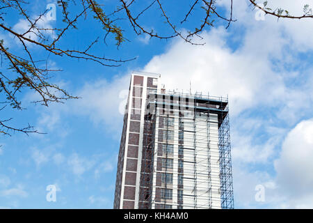 Underview overhanging branches and high skyscraper building with scaffolding undergoing renovations against blue cloudy sky in South Africa Stock Photo