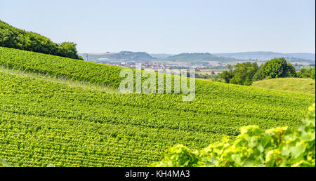 sunny winegrowing scenery in Hohenlohe, a area in Southern Germany at late summer time Stock Photo