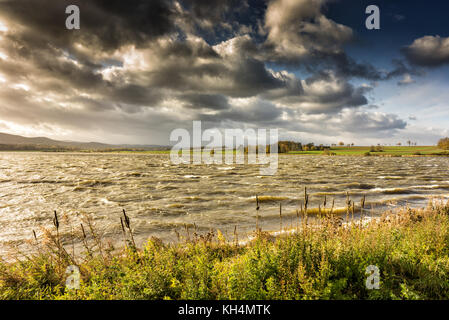 Lake under the strong wind. Stock Photo