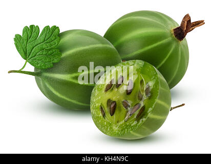 画材 Gooseberry shutterstock_354931583.jpg?v=