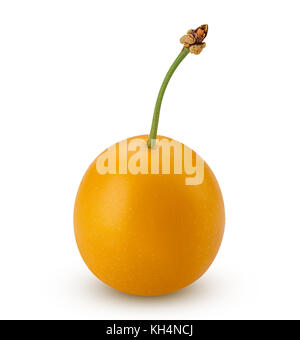 Ripe cherry-plum isolated on white background. Clipping Path Stock Photo
