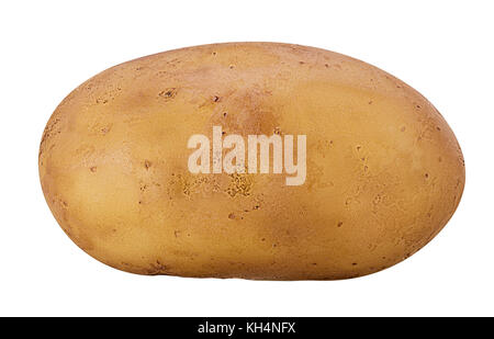 One young potatoe isolated on white background Stock Photo - Alamy