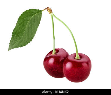 Sweet cherry berry, two on a branch with leaf isolated on white background. Clipping Path Stock Photo