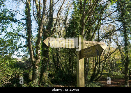 A wooden signpost in Tehidy Country Park Cornwall UK. Stock Photo