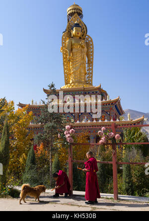 Young monks feeding a dog in front of a golden buddha statue in Wutun si monastery, Qinghai province, Wutun, China Stock Photo