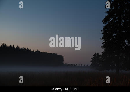 Wald mit Wiese und Nebel gegen Nachthimmel Stock Photo