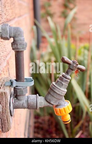 Outdoor water tap on kitchen wall with yellow hose connector attatched. Stock Photo