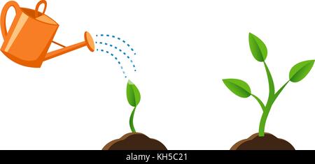 illustrations with phases plant growth Stock Vector