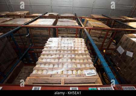 Pallets of USDA Emergency Food Assistance Program (TEFAP) commodities wait on the Houston Food Bank commodity warehouse shelves for movement to packing lines or delivery to food pantries; pallets in the aisles are loaded with disaster assistance packages (those with orange wrapping have USDA Foods in them), and are ready for delivery or distribution to those in need, in Houston, TX, on September 22, 2017. Houston Food Bank Operations Associate Director Marly Maskill provided the following information; in general, the food bank usually receives approximately 10 trucks per day and distributes ap Stock Photo