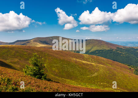 beautiful hilly landscape of Carpathian mountains. lovely scenery in late summer. blue sky with some fluffy clouds Stock Photo