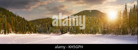 snowy meadow in spruce forest at sunset. location lake Synevyr Ukraine, frozen in winter. beautiful nature panoramic landscape in Carpathian mountains Stock Photo