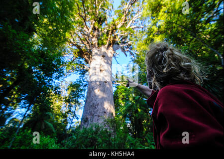 Woman looking on Te Matua Ngahere a giant kauri tree, Waipoua Kauri forest sanctuary ,Westcoast Northland, North Island, New Zealand Stock Photo