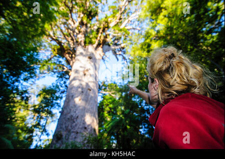 Woman looking on Te Matua Ngahere a giant kauri tree, Waipoua Kauri forest sanctuary ,Westcoast Northland, North Island, New Zealand Stock Photo