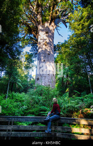 Woman looking at the giant Te Matua Ngahere a giant kauri tree, Waipoua Kauri forest sanctuary ,Westcoast Northland, North Island, New Zealand Stock Photo