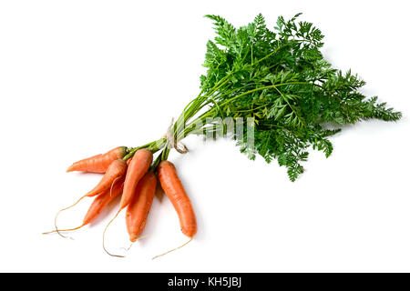Bunch fresh carrots isolated on white. Top view. Vegetables from garden. Stock Photo
