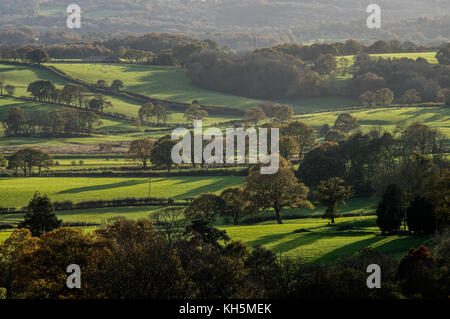 Long autumnal shadows stretching over the patchwork of fields and pastures in East Sussex Stock Photo