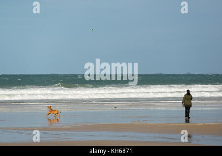 Woman throwing a ball for her dog on the beach on a sunny but windy autumn day at Newquay, Cornwall, UK Stock Photo