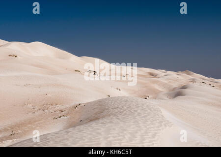 Khaluf desert, Oman. Stock Photo