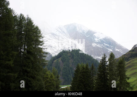 Alpine tree forest on the mountain with Alps highest and most extensive mountain range in Samnaun at Graubunden region of Switzerland Stock Photo