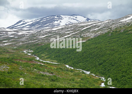 Tundra in Norway Stock Photo