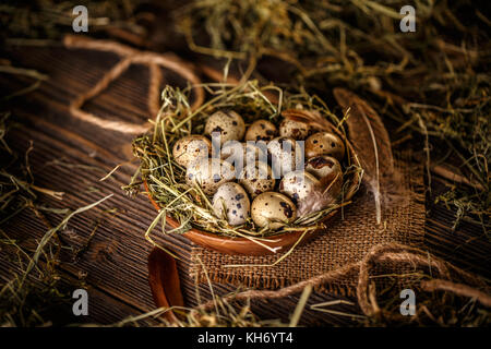 Fresh quail egg in hay nest on rustic  background Stock Photo