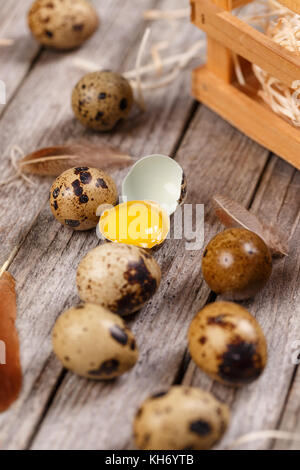 Quail eggs with feather on wooden background Stock Photo