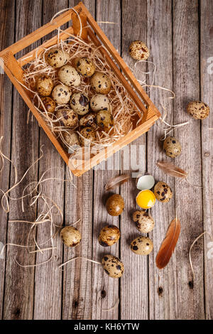 Download Quail eggs in crate Stock Photo: 73085995 - Alamy Yellowimages Mockups