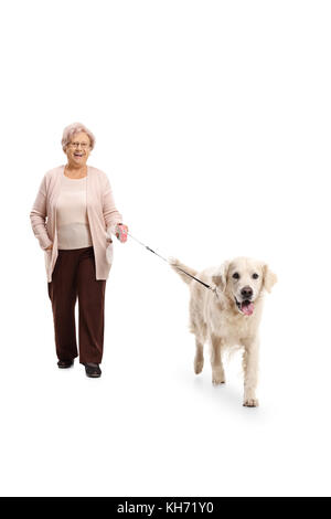 Full length portrait of an elderly woman walking a dog isolated on white background Stock Photo