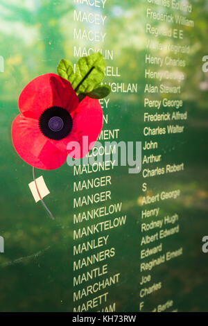 Red poppy next to a display of names of fallen soldiers during Remembrance Day commemorations in Southampton, Hampshire, UK Stock Photo
