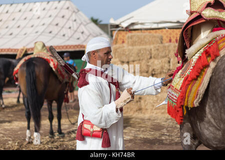 Fantasia is a traditional exhibition of horsemanship in the Maghreb performed during cultural festivals and to close Maghrebi wedding celebrations. Stock Photo