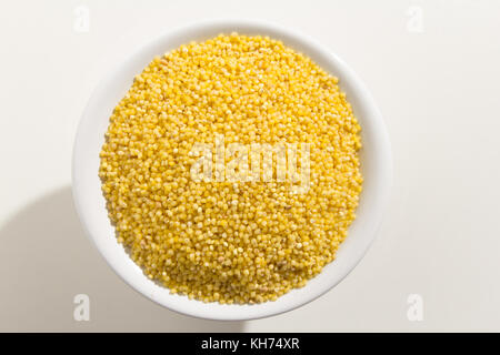 Panicum miliaceum is scientific name of Proso Millet cereal grain. Also known as Broomcorn Millet, Painco (portuguese) and Mijo (spanish). Top view of Stock Photo