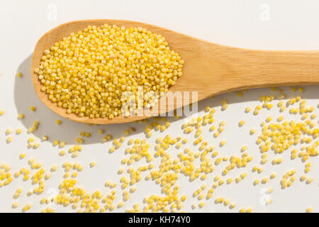 Panicum miliaceum is scientific name of Proso Millet cereal grain. Also known as Broomcorn Millet, Painco (portuguese) and Mijo (spanish). Healthy gra Stock Photo