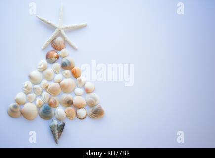 Christmas tree made from sea shells Stock Photo