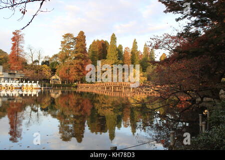 Autumn Scenery in a Park in Tokyo, Japan. Views Across the Lake Stock Photo